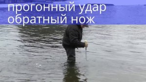 Звук квока