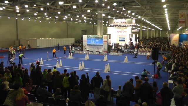 Флайбол. Чемпионат РКФ 2014 / The RKF Flight ball Championship смотреть онлайн