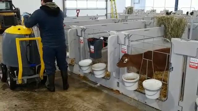 Вариант мытья поилок Milk Bar "у телят" из молочного такси (Канада) смотреть онлайн
