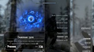 Skyrim mods