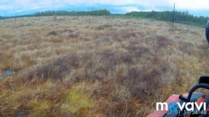 По болотам на каракате