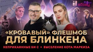 «Кровавый» флешмоб для Блинкена, неприкаянные Би-2, выселение кота Маркиза