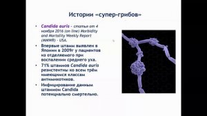 Микробная резистентность к антибиотикам и система мониторинга антибиотикотерапии во фтизиатрии