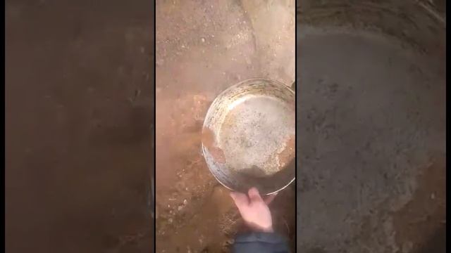 Промывка золота алюминиевой сковородой