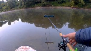 фидер на реке Днепр