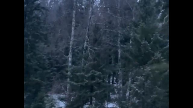 Новое кино в Губахе 2022 - Зимняя сказка