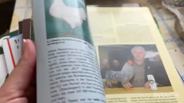 Яйцо из Германии в подарок смотреть онлайн