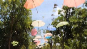 Таиланд Паттая. Знакомство с Таиландом