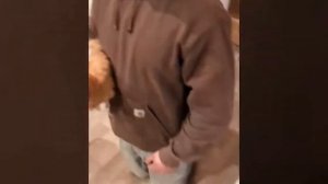 Лучшая подборка видео роликов детей с животными.