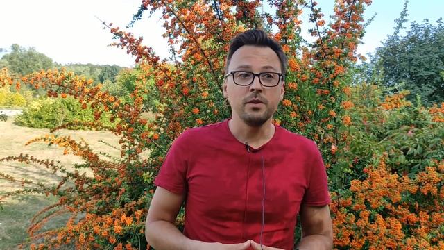 РИТУАЛ НА ДЕНЬ ОСЕННЕГО РАВНОДЕНСТВИЯ - 22 СЕНТЯБРЯ