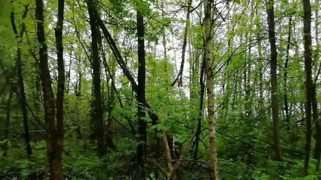 Истринское водохранилище!