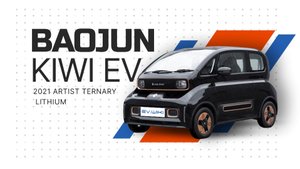 BAOJUN KIWI EV 2021 Artist Ternary Lithium