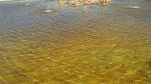 Петергоф парк фонтаны