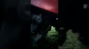 Обзор минитрактор из мотоблока МТЗ.