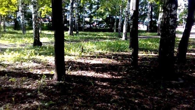 Thunder | Нижний Новгород | MediaNature смотреть онлайн