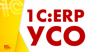 1С:ERP УСО - поставляемая с «1С:ERP УСО» панель для программы «1С:Аналитика»