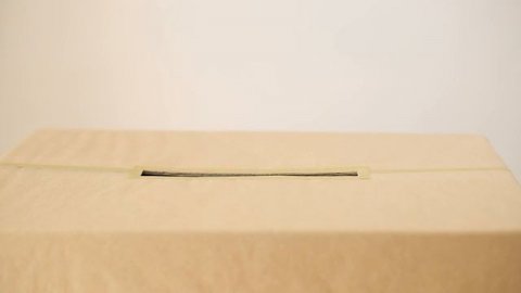 ГМО: опасно ли это для человека? Мифы и факты про ГМО | Да!Но.