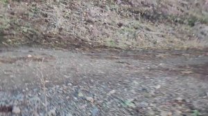 Сакмарское водохранилище в Башкирии перекрывает основной приток Урала.