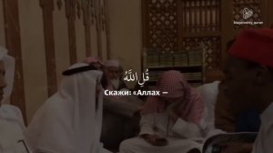 Мухаммад Хади Туре | сура 6 «Аль Анам» (Скот) , аяты 17-19