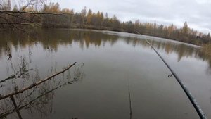 Как и где мне удаётся удачно ловить карася в октябре на поплавочную удочку