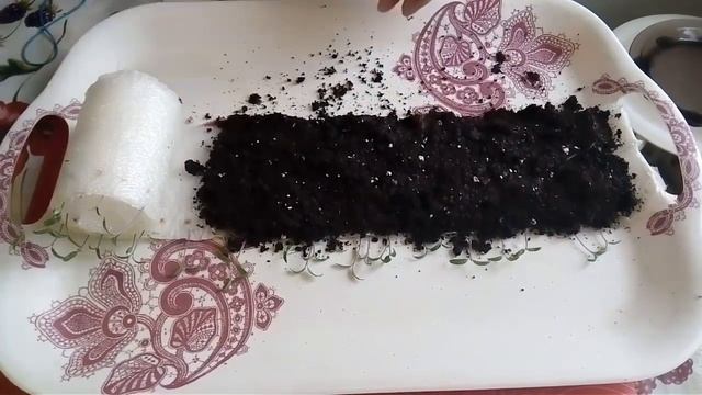 РАССАДА ТОМАТОВ В УЛИТКЕ И В ЗЕМЛЕ. РАЗНИЦА В РАЗВИТИИ. смотреть онлайн