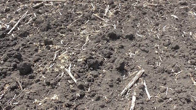 Что делать с сорняком? Культиватор-монстр. смотреть онлайн