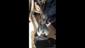 MOOER GTRS W800