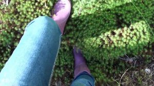 Я В ШОКЕ! Лес в Псковской области! ТАКОГО Я НЕ ОЖИДАЛА! #псковская_область #псковскаяобласть #ягоды