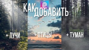 Мобильная фотография / Как добавить на фото птиц, лучи, туман / Обработка фото для Инстаграма