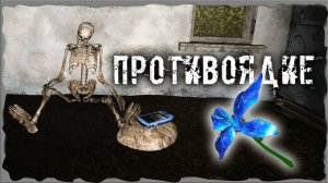 сталкер ОП-2.2 противоядие