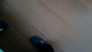 Муха на танцах