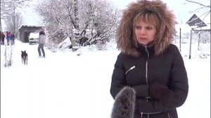 волк съел Алабая