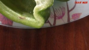 Вредители сладкого перца