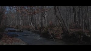 Canon EOS R6 | CLOG-3 Cinematic 4K Footage | RF 24-105mm f4 | Georgia State Park Nature Hike