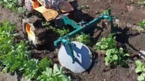 работа моего окучника