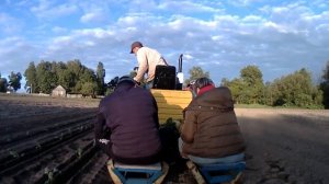 Высадка рассады капусты Кентавр Т-244 с самодельной рассадопосадочной машиной. Начало.