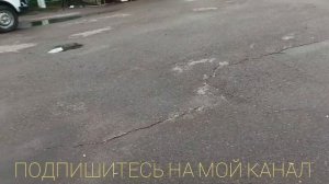 Николаевские голуби. Выставка - ярмарка голубей п.Новониколаевский Волгоградская обл. 24.04.21