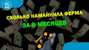 Сколько НАМАЙНИЛА моя НОВАЯ майнинг-ферма за 6 месяцев- 31 карта GTX 1660 Super