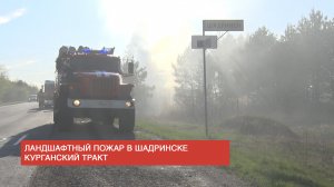 Происшествие: Ландшафтный пожар в Шадринске. Курганский тракт (2023-05-09)