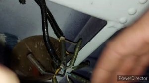 Не работает тахометр на лодочном моторе suzuki