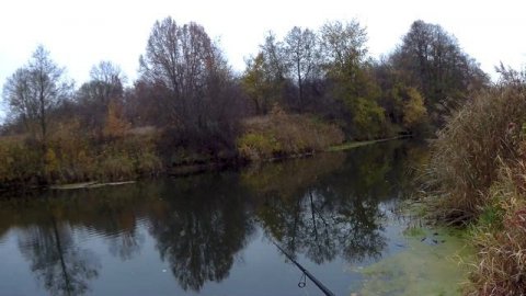 Рыбалка с подписчиком на реке Тёша. Техника твичинга воблеров minnow.