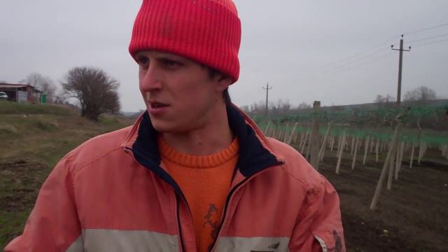 Лавка. Краснодар. край. №1. Биофермер Иван Новичихин смотреть онлайн