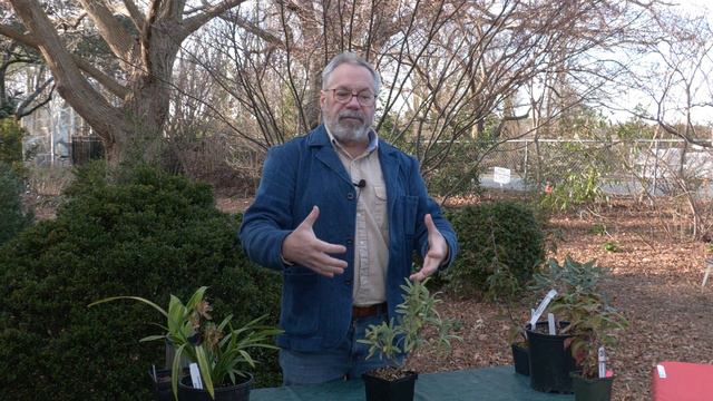 Midweek with Mark - "New Year, New Plant Obsessions" смотреть онлайн