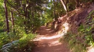 Теща и зять...Интересные истории из жизни