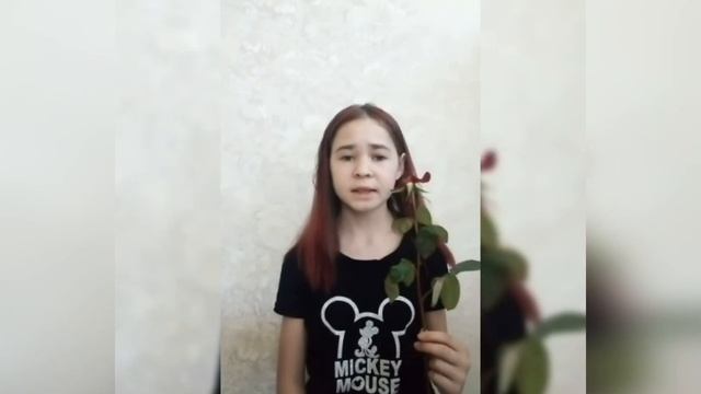 Поэтический цикл "Русская классика", М.Ю. Лермонтов к Нине смотреть онлайн