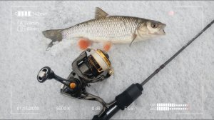 НЕмормышинг весной с Crazy Fish Nano Zero Carbon NSRC582SXULS