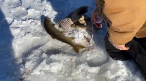 Maine Togue Ice Fishing Non Stop Flags
