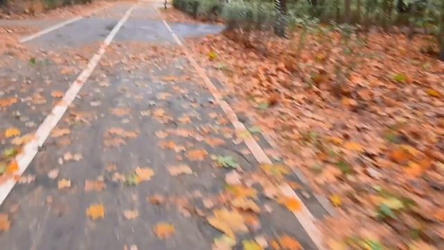 Осень на двух колесах: велосипед и саморефлексия.