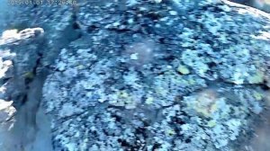 гора ЗОЛОТОЙ КАМЕНЬ (22/05/2016)