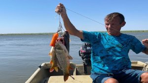 ЛОВИМ САЗАНА НА ЖМЫХ В АСТРАХАНСКОЙ ОБЛАСТИ.